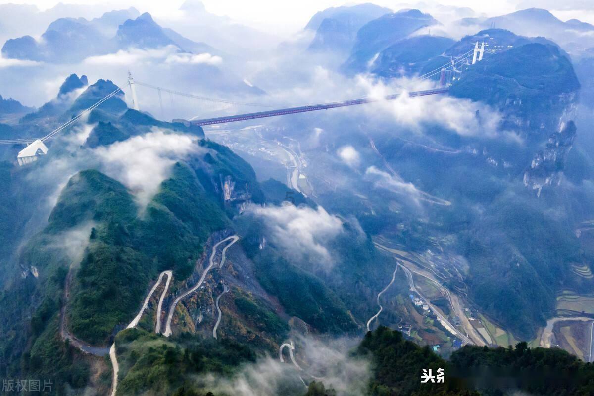 梦想的后院